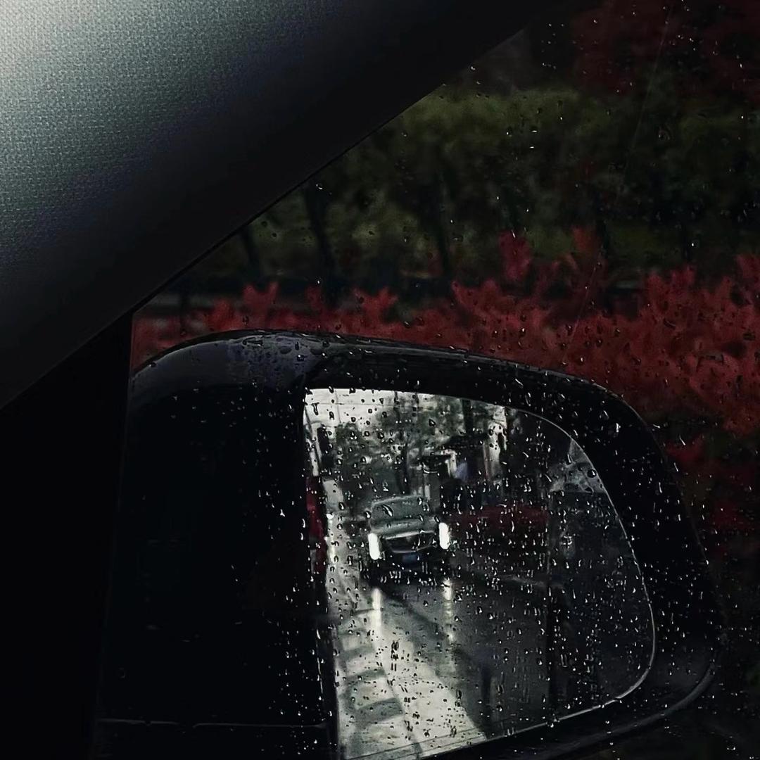 情绪稳定的人类