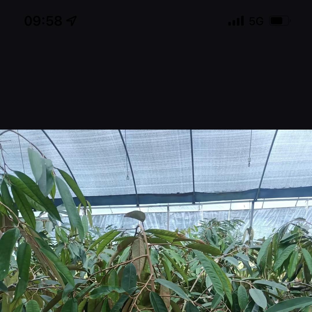 东海县佩茶商贸有限公司
