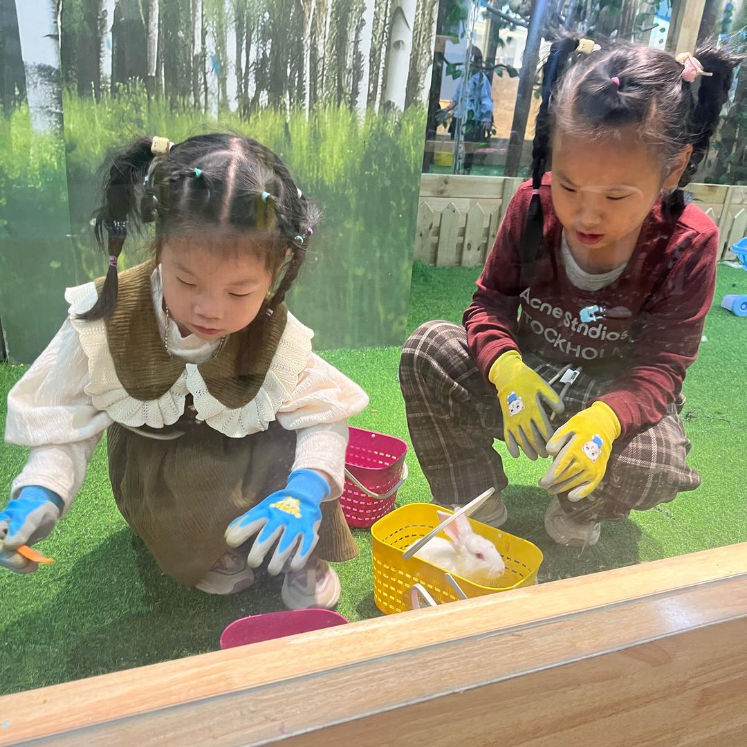 姐姐晨曦，妹妹晨优