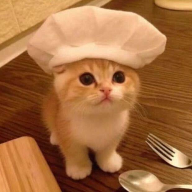 我喻我以明春 ㅤㅤ