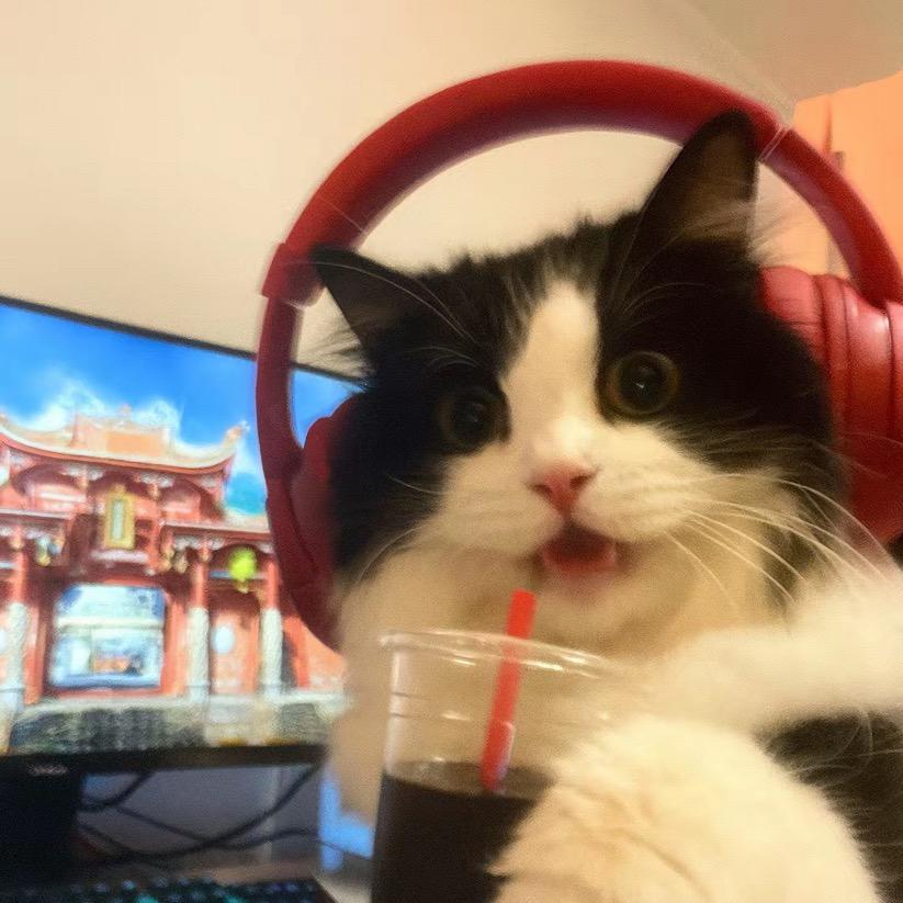 隐姓埋名刘亦菲