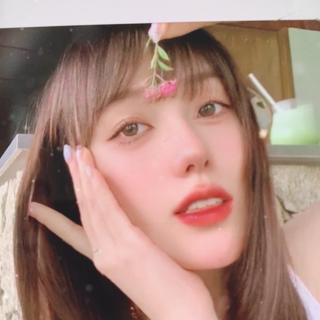 🌲不老松