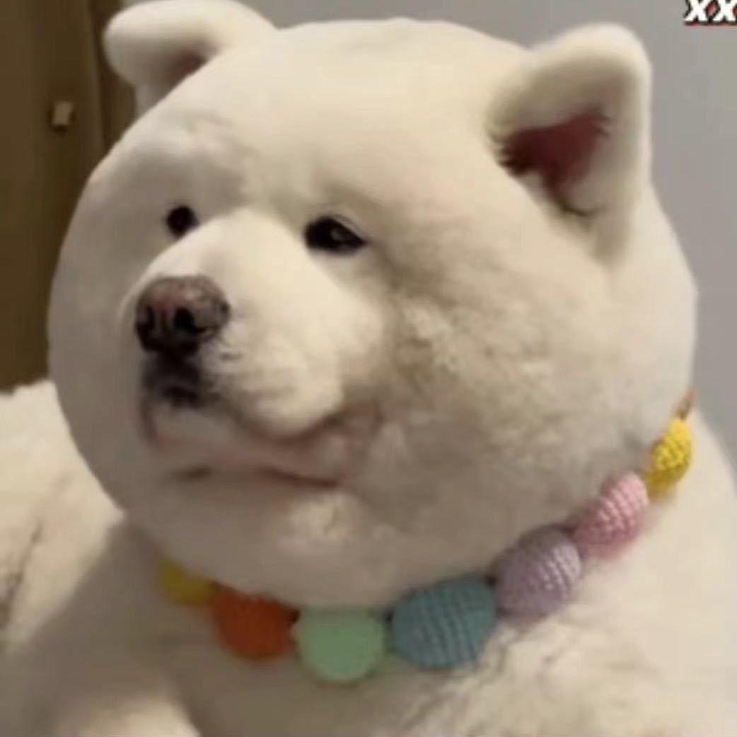 种地的山东土著