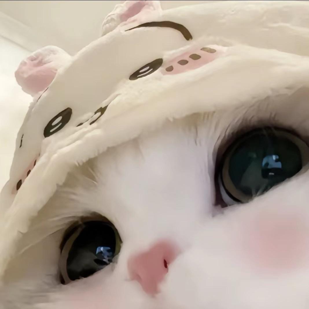 @Hong