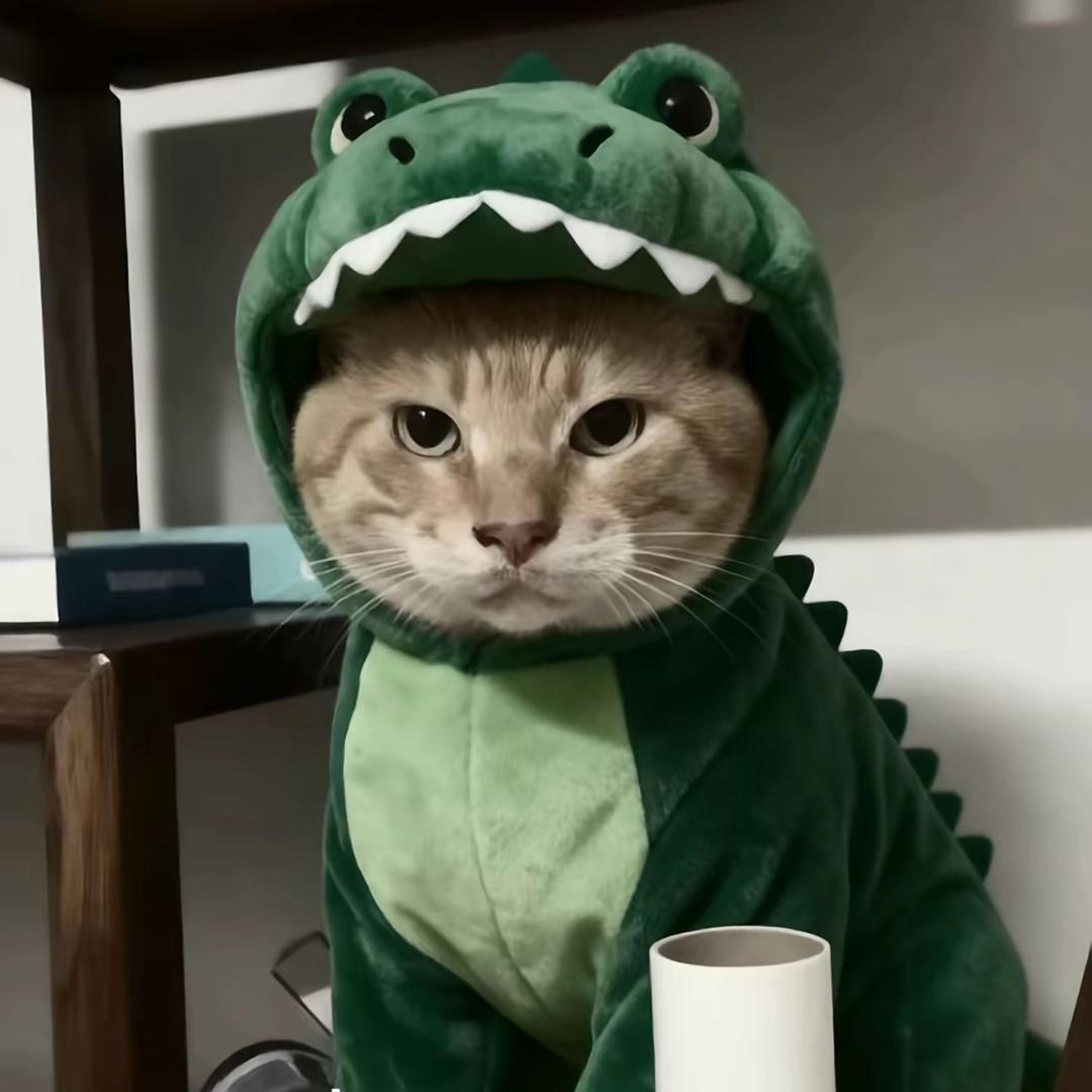 wo爱睡觉