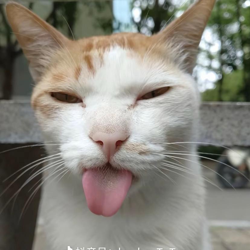 憋老仔的心事