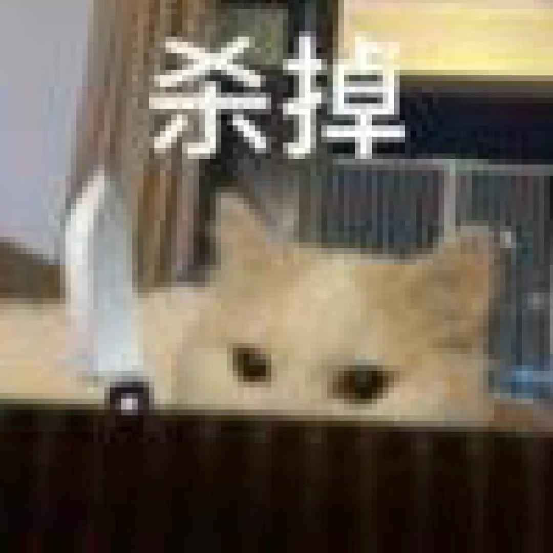 智障蒋