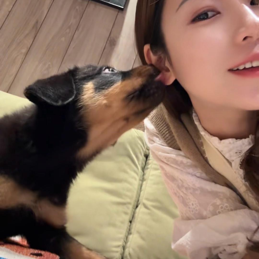 双罗记·万珠时光🐶