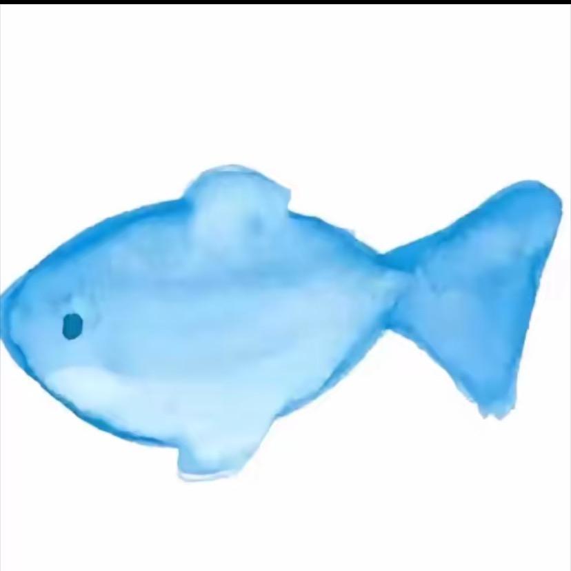 呆鱼