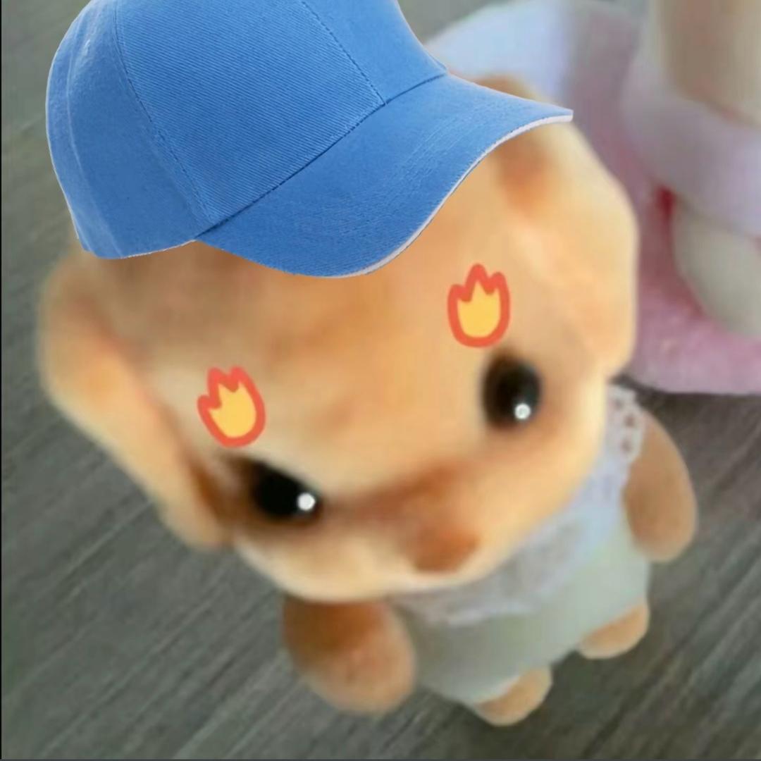 叽叽菇