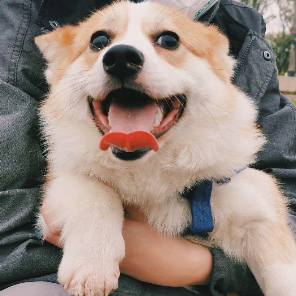 凡凡做自己