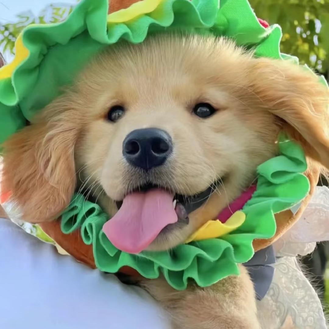 利维撅嘴的锅巴