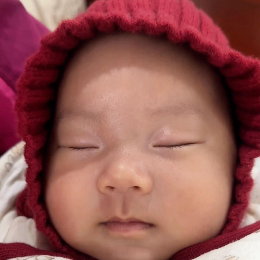 萍果爸爸(带娃➕装修)