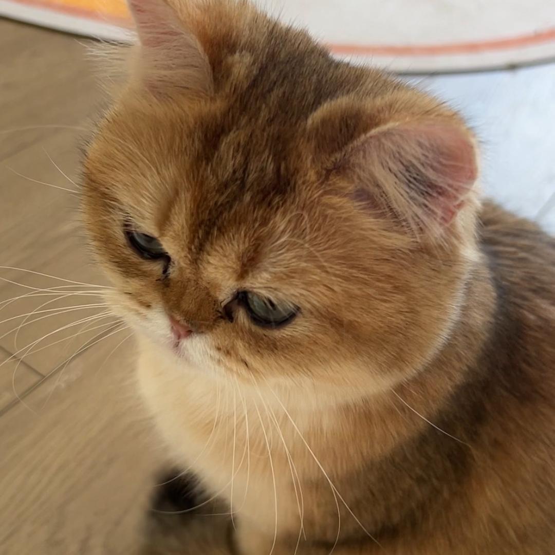 云团的幸福每天