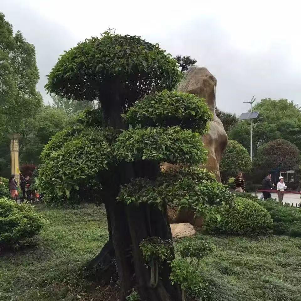 亚飞餐饮（沅陵分公司）