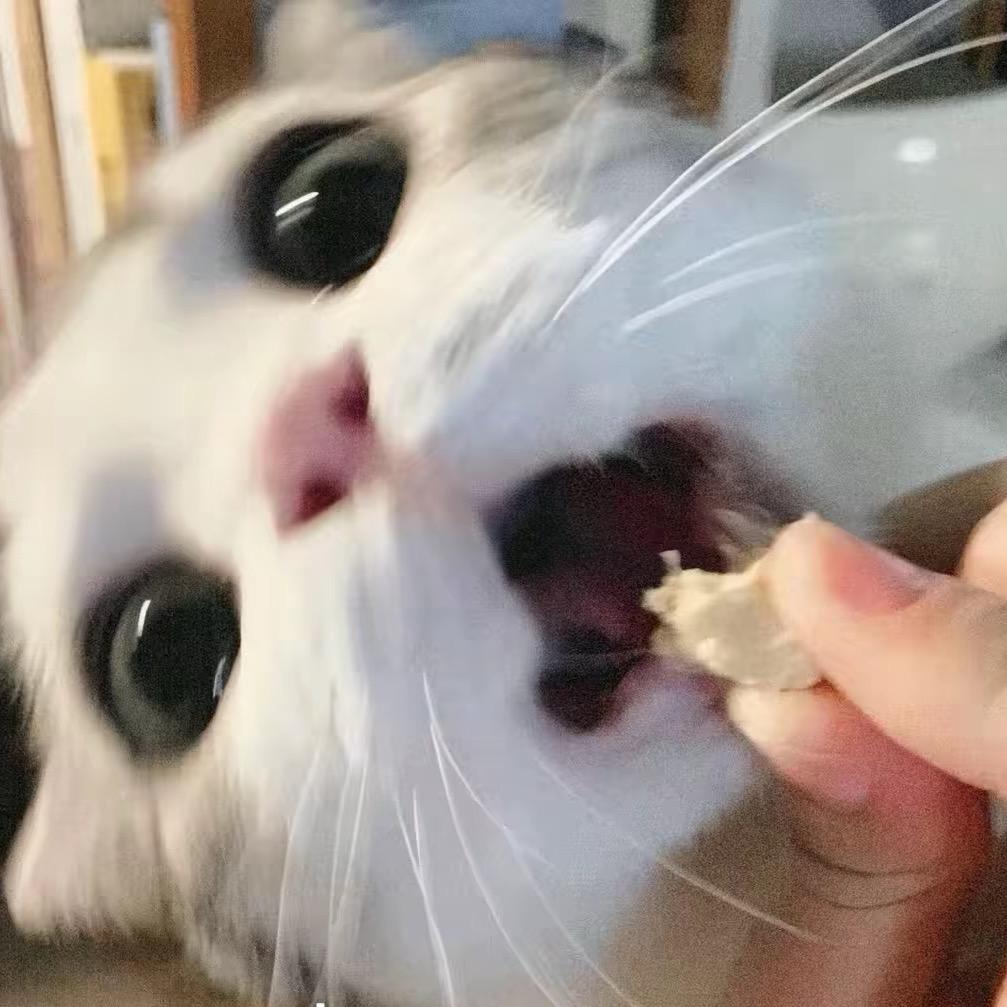 少主