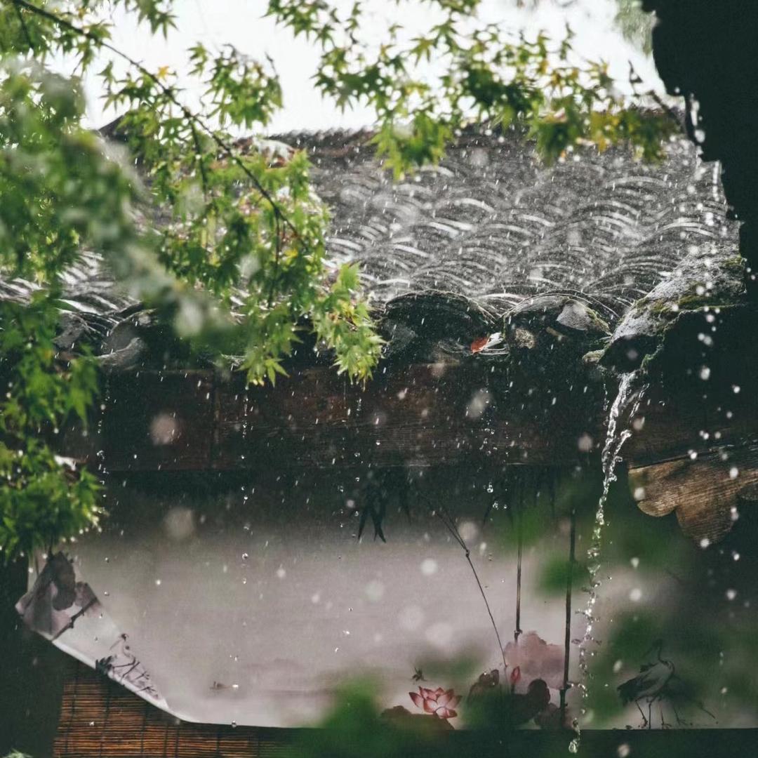 雨棠砂器