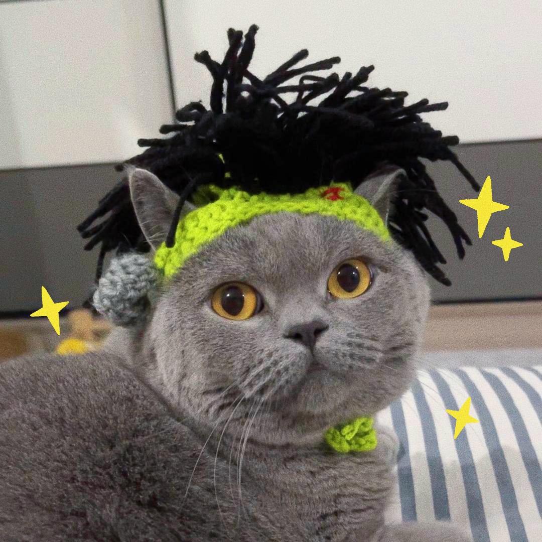 blue呼噜噜