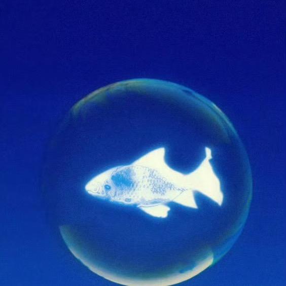 平顶山叶县出 g女👩🏻‍🏫事件