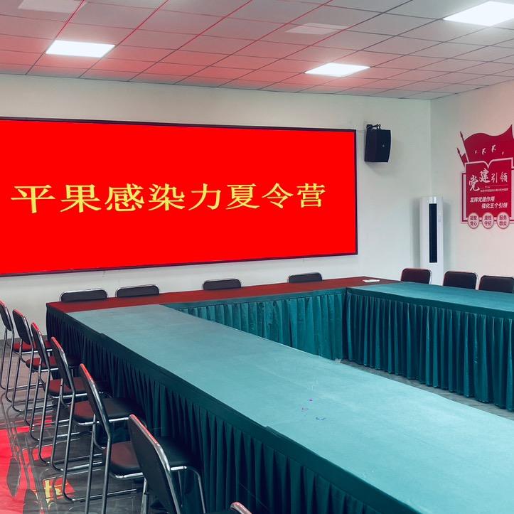 平果市感染力夏令营
