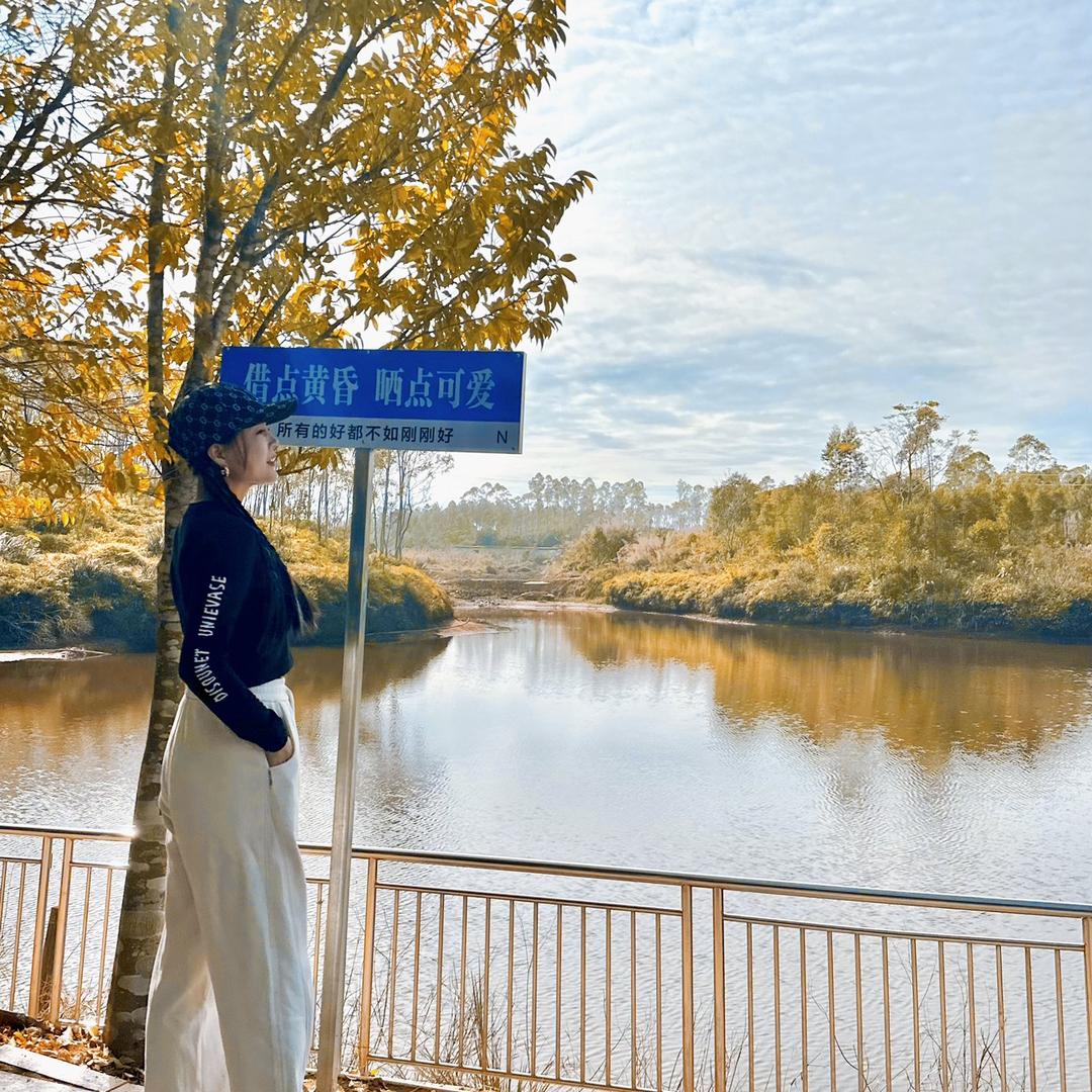 拾柒