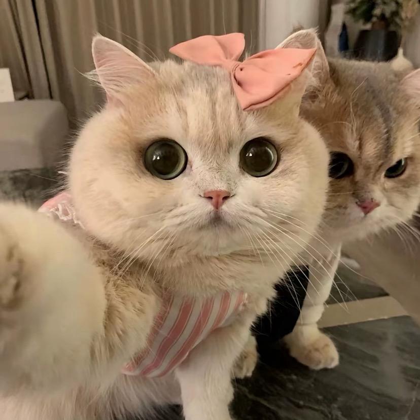 o_O
