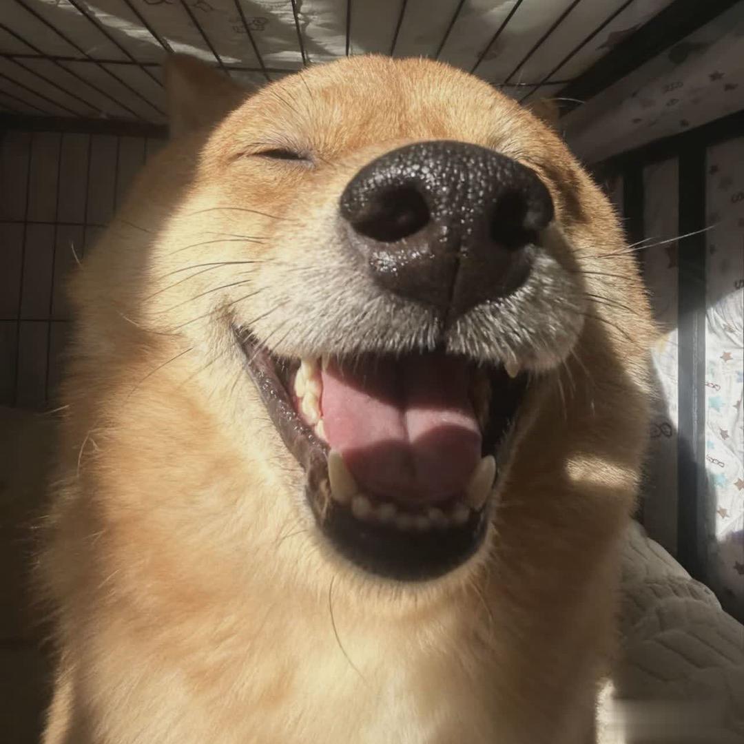 @要干五碗大米饭·