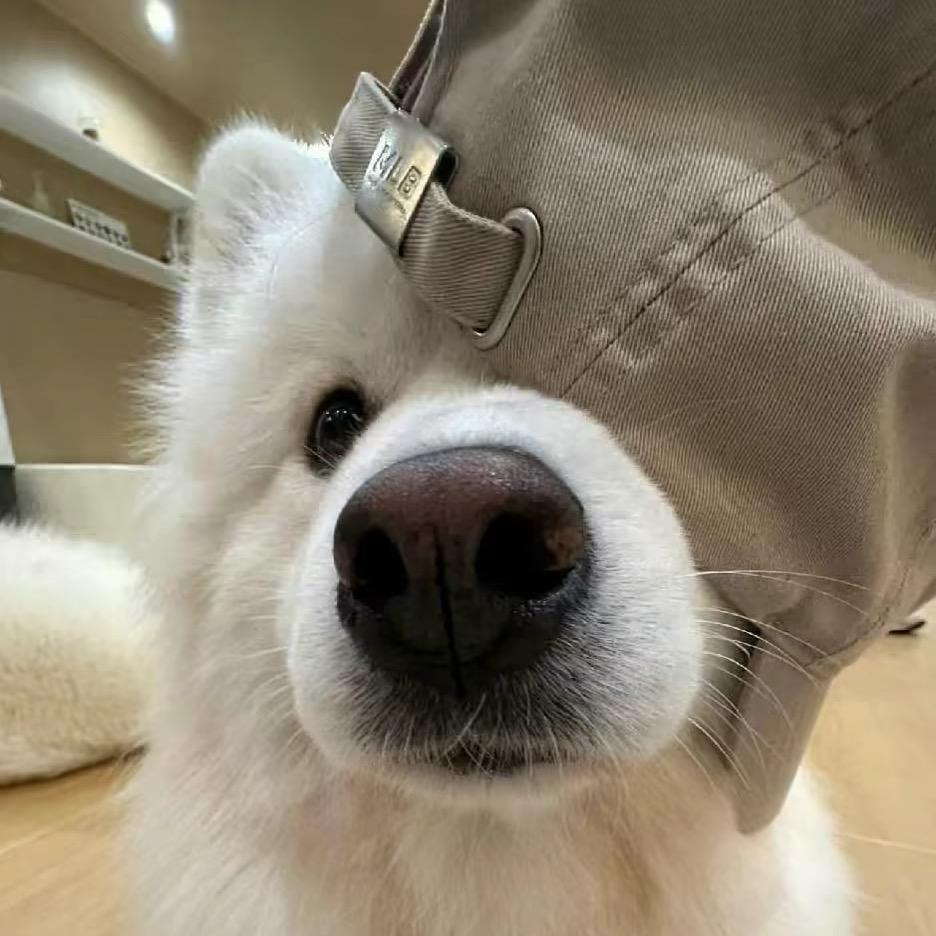 --蕊