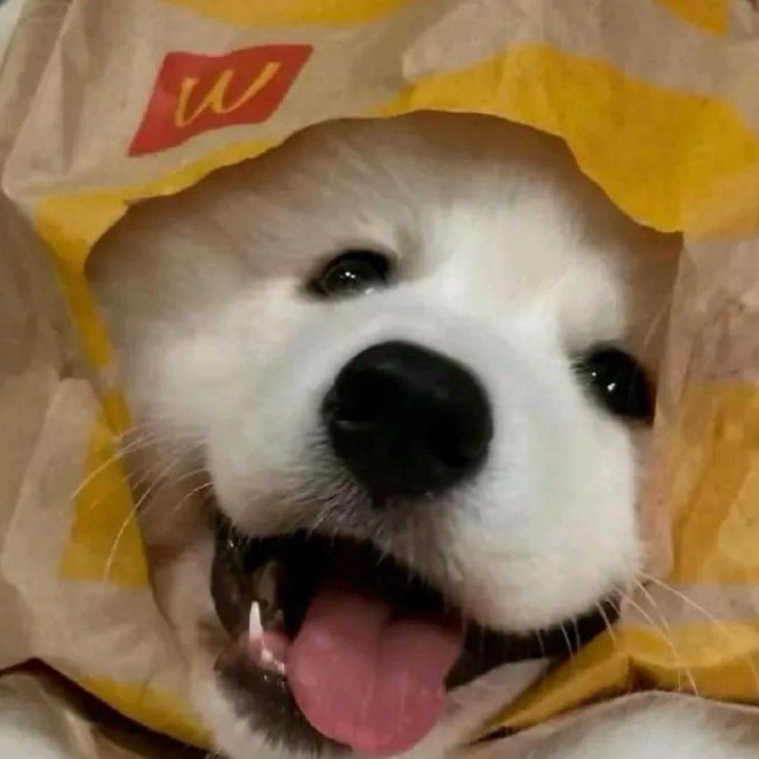 上善若水_w
