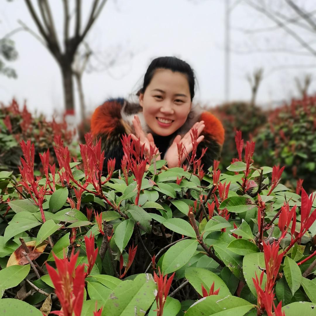 王翠吖