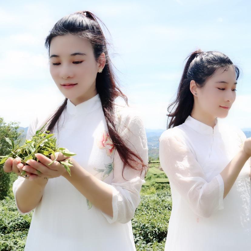 芳淼 私房茶