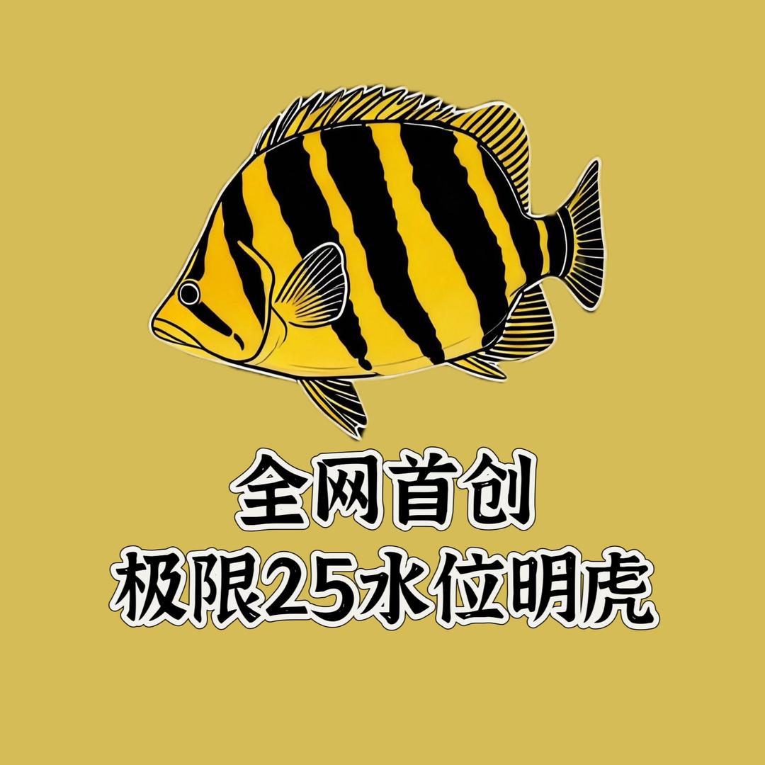 铭虎无极限
