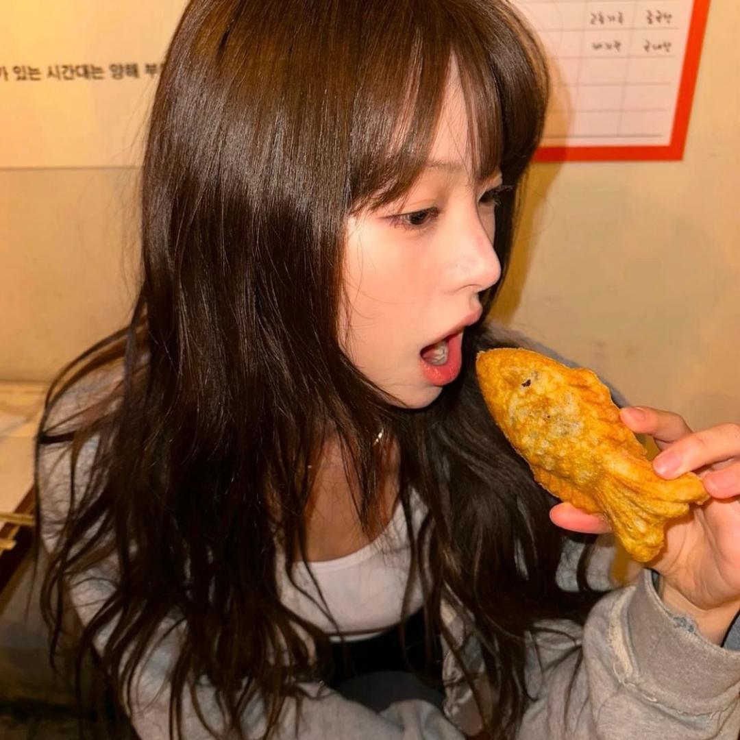 菜园小楊❄️