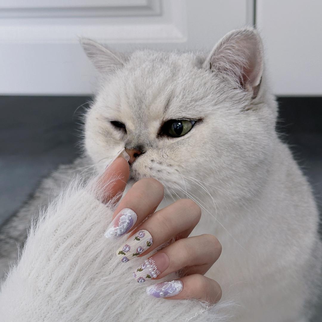 小骆驼Nail