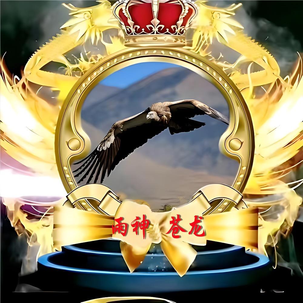 ᰔᩚ雨神苍龙