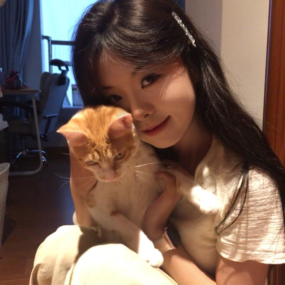 不爱吃肉
