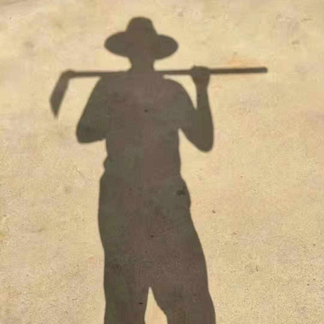 哆哆（干中学）