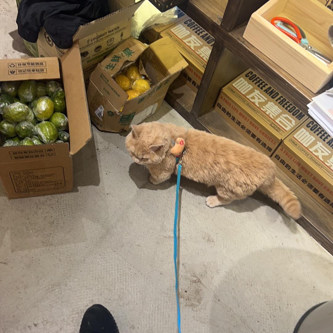 cola