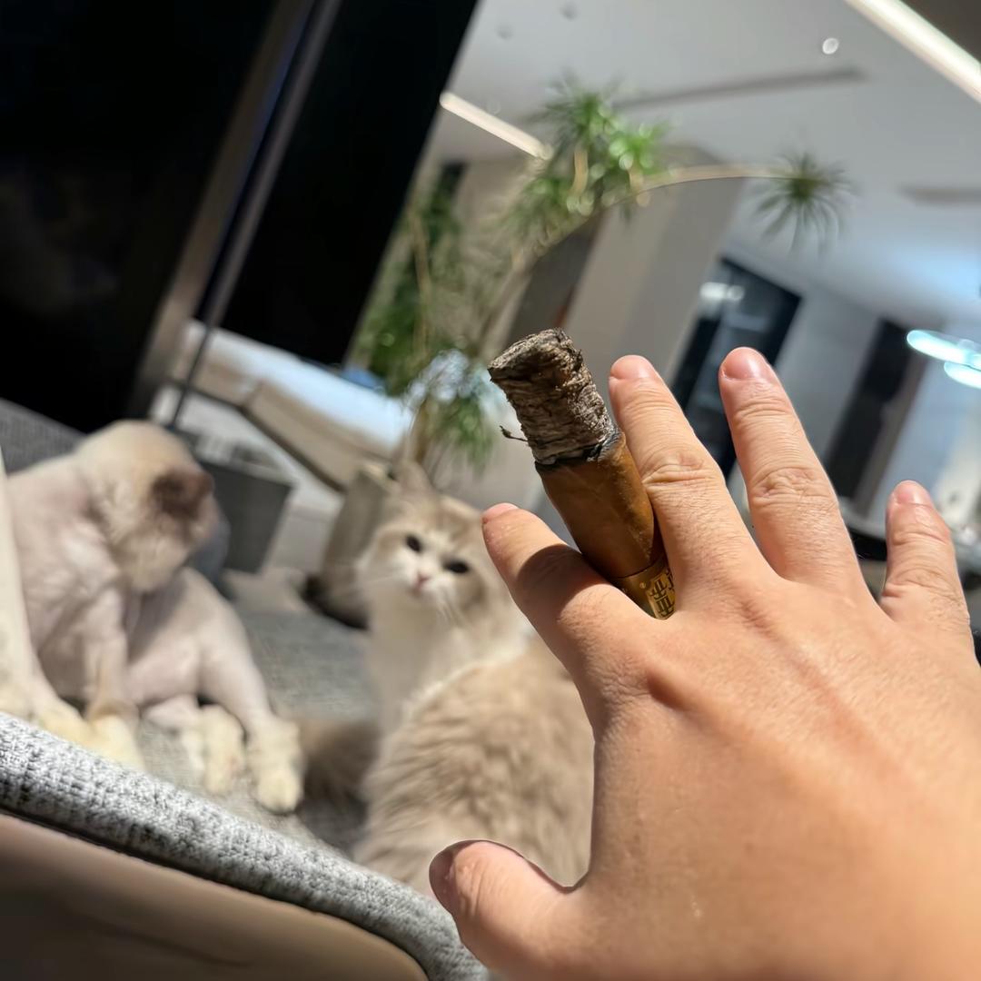 红龙
