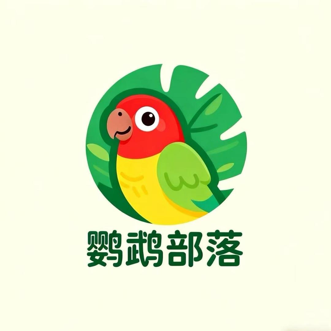 鹦鹉部落精品