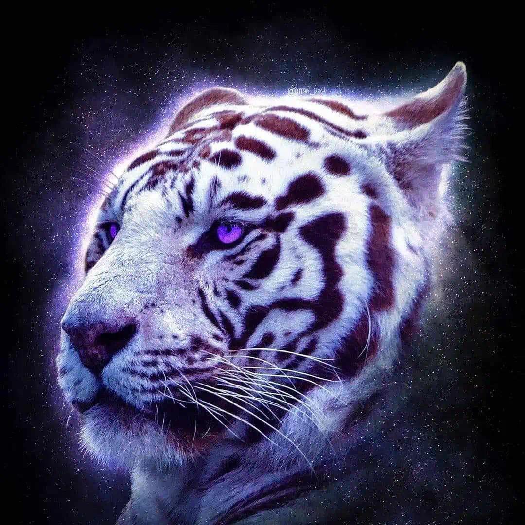 🎖善⚜️哉🏅