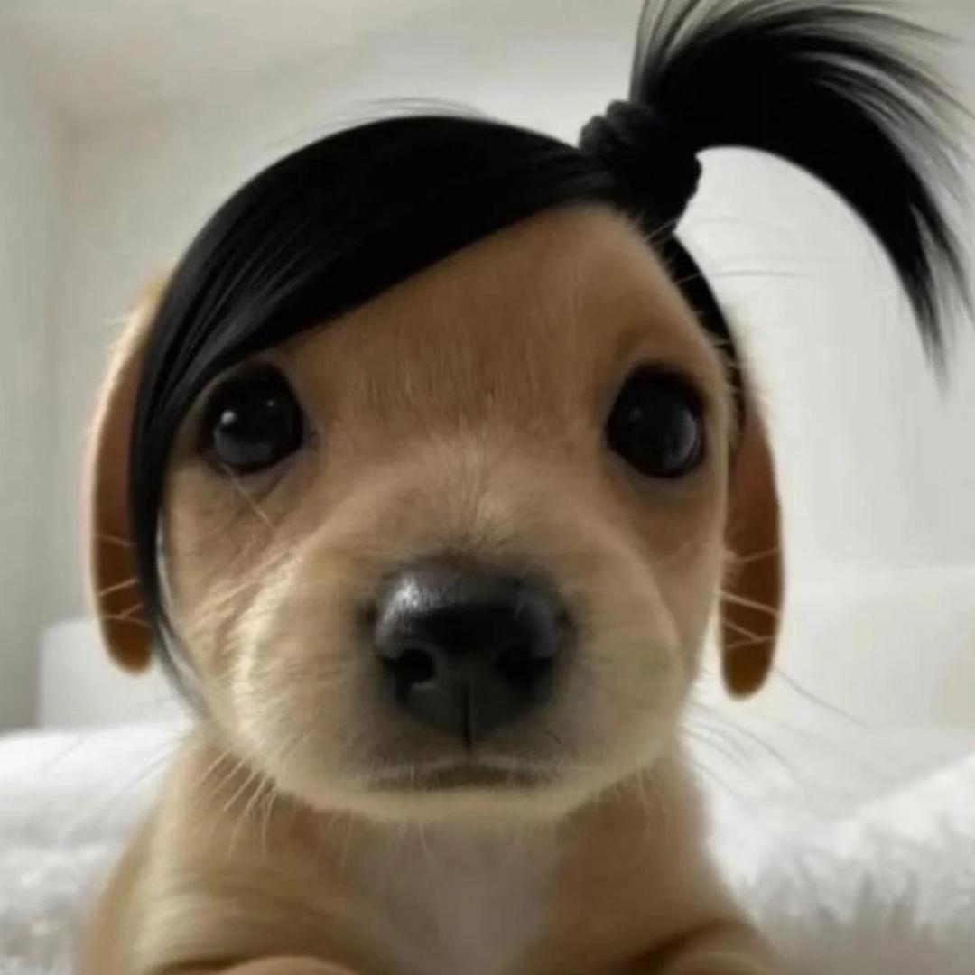 凸^-^凸