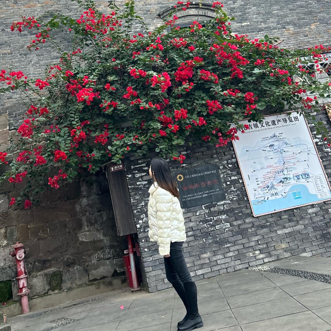🍒LXT🍒