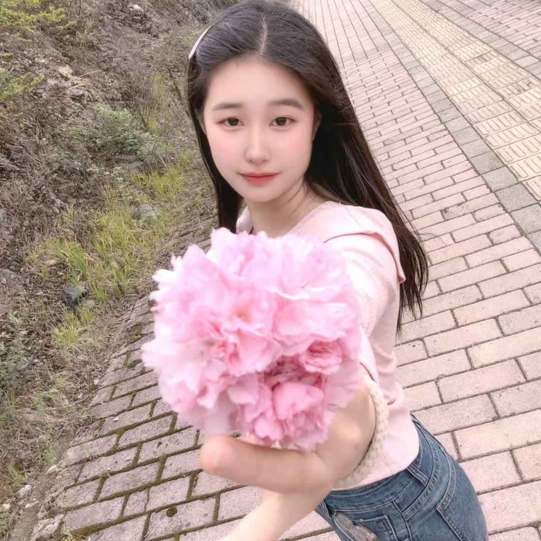 小凤凤
