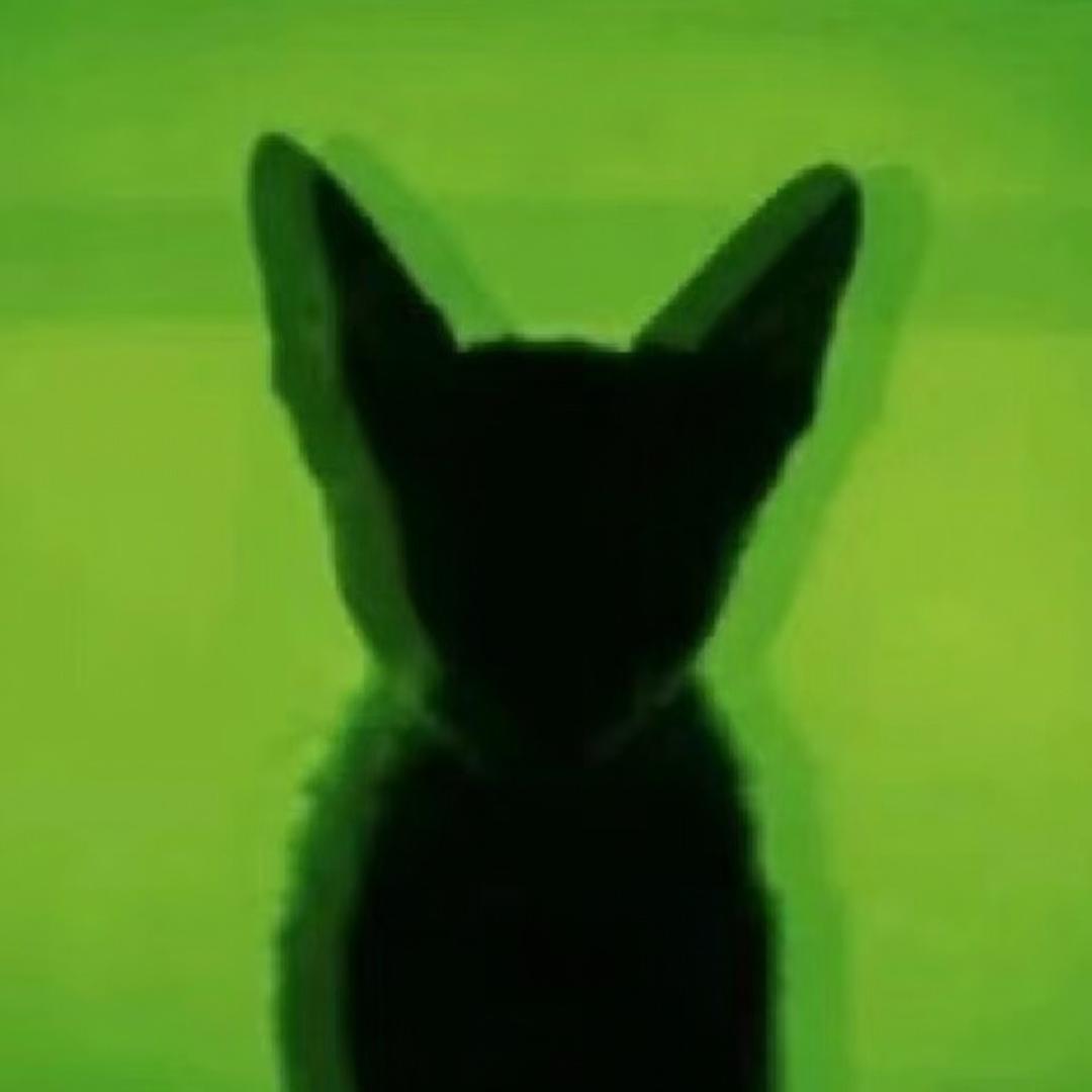 超级T宝🎧