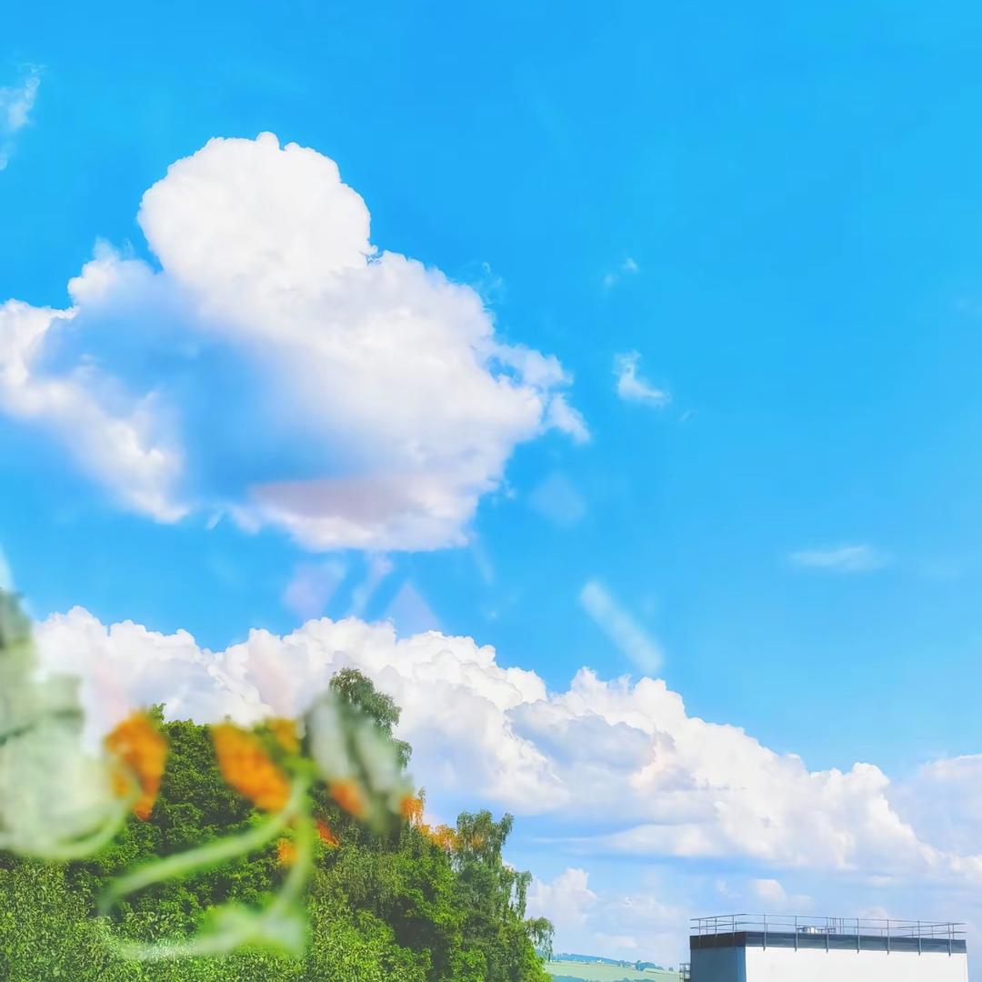 元气优优🧚‍♀️