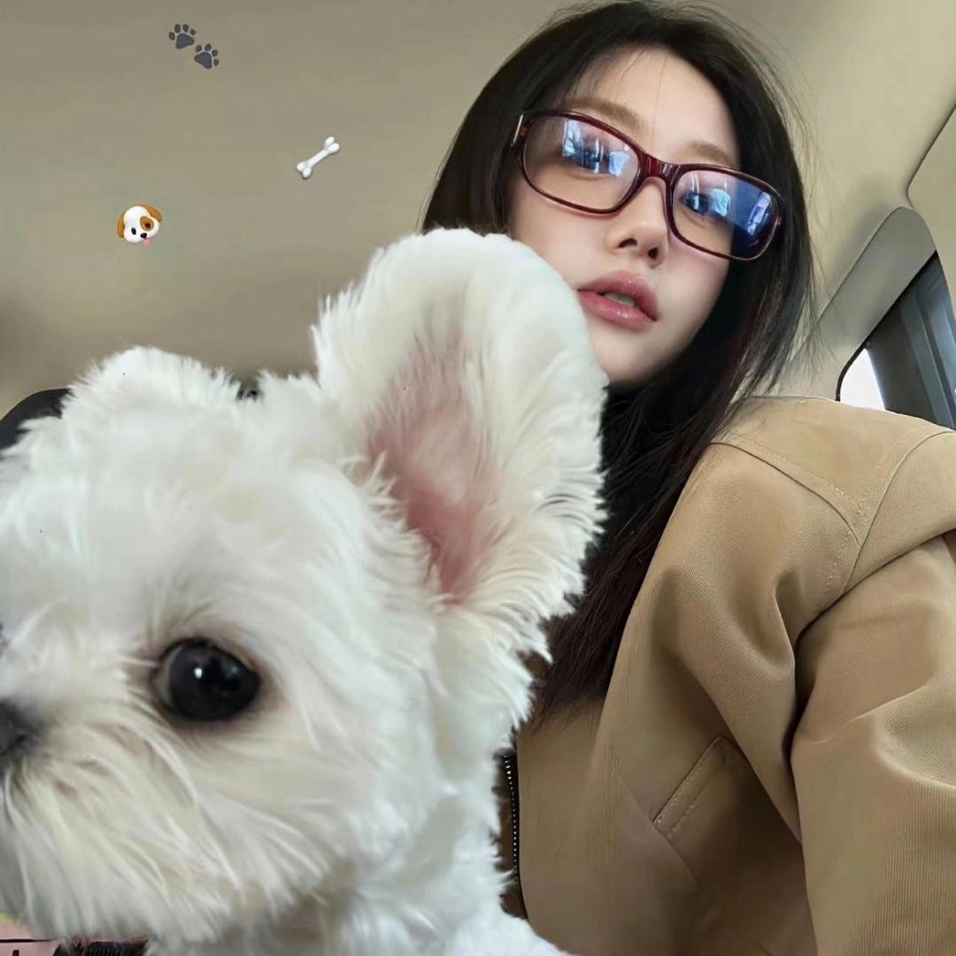 小🐑尼