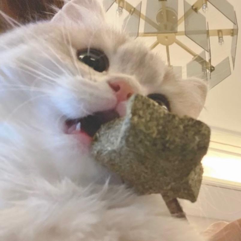 一口吃掉鸡翅