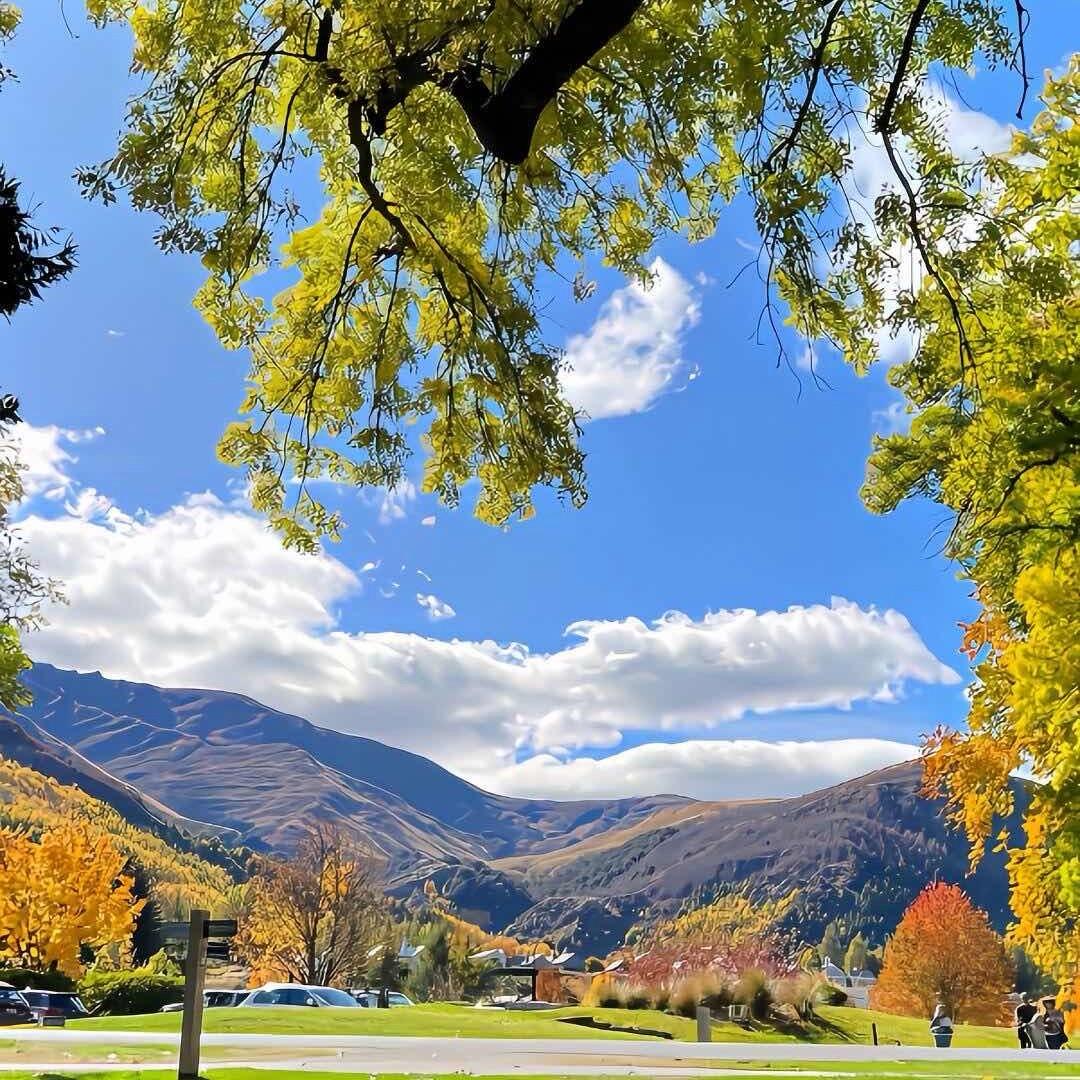 城市套路深我要回农村