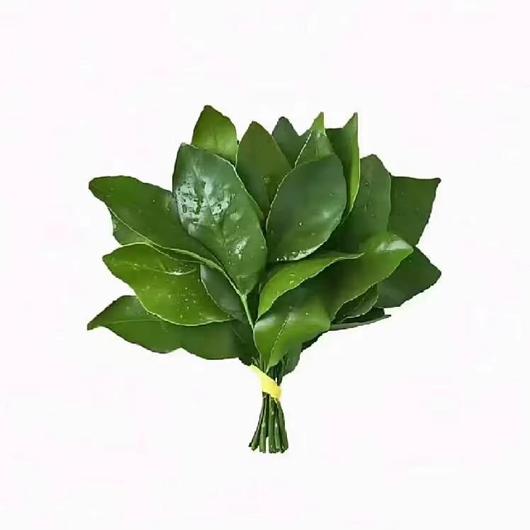 多喝热水